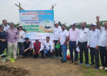 Green Revival at umrer